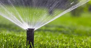 Garden Irrigation Systems – How Can You Know What You Have to Purchase?